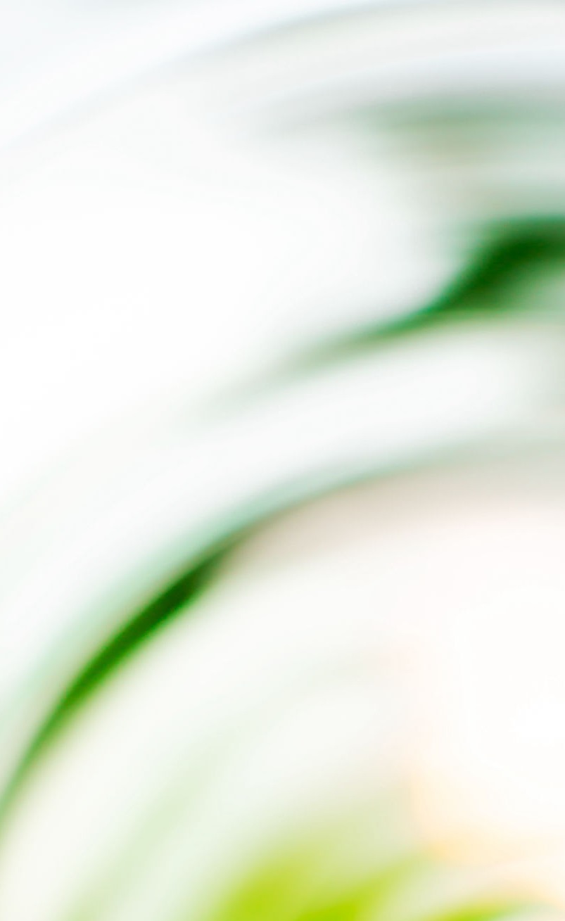 Synercap Leveraged Finance